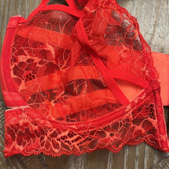 THISTLE AND SPIRE Kane Bra in Chili 36 DD - Picture 4 of 5